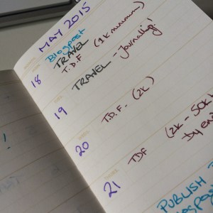 Field Notes Date Book Use